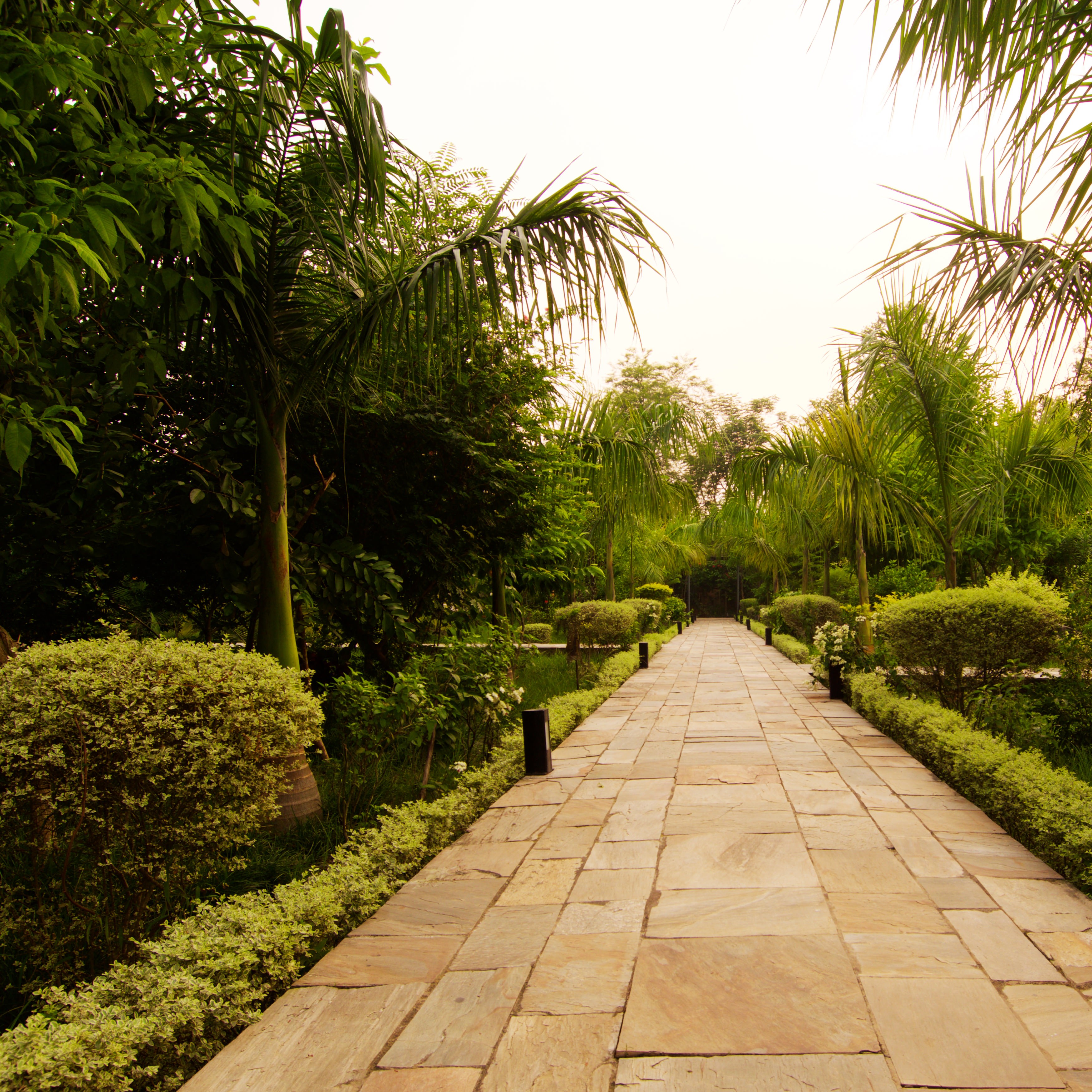 Kasara Jungle Resort