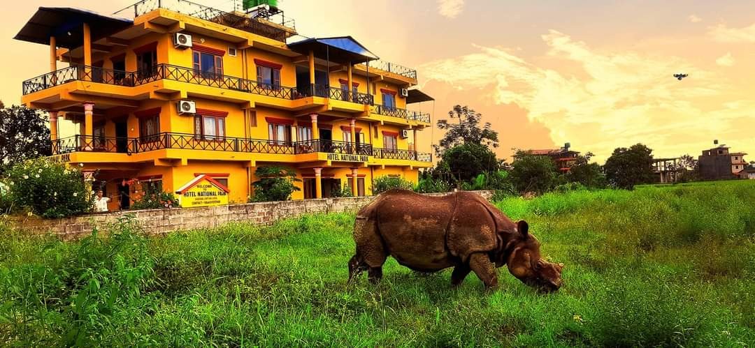 Hotel National Park Sauraha