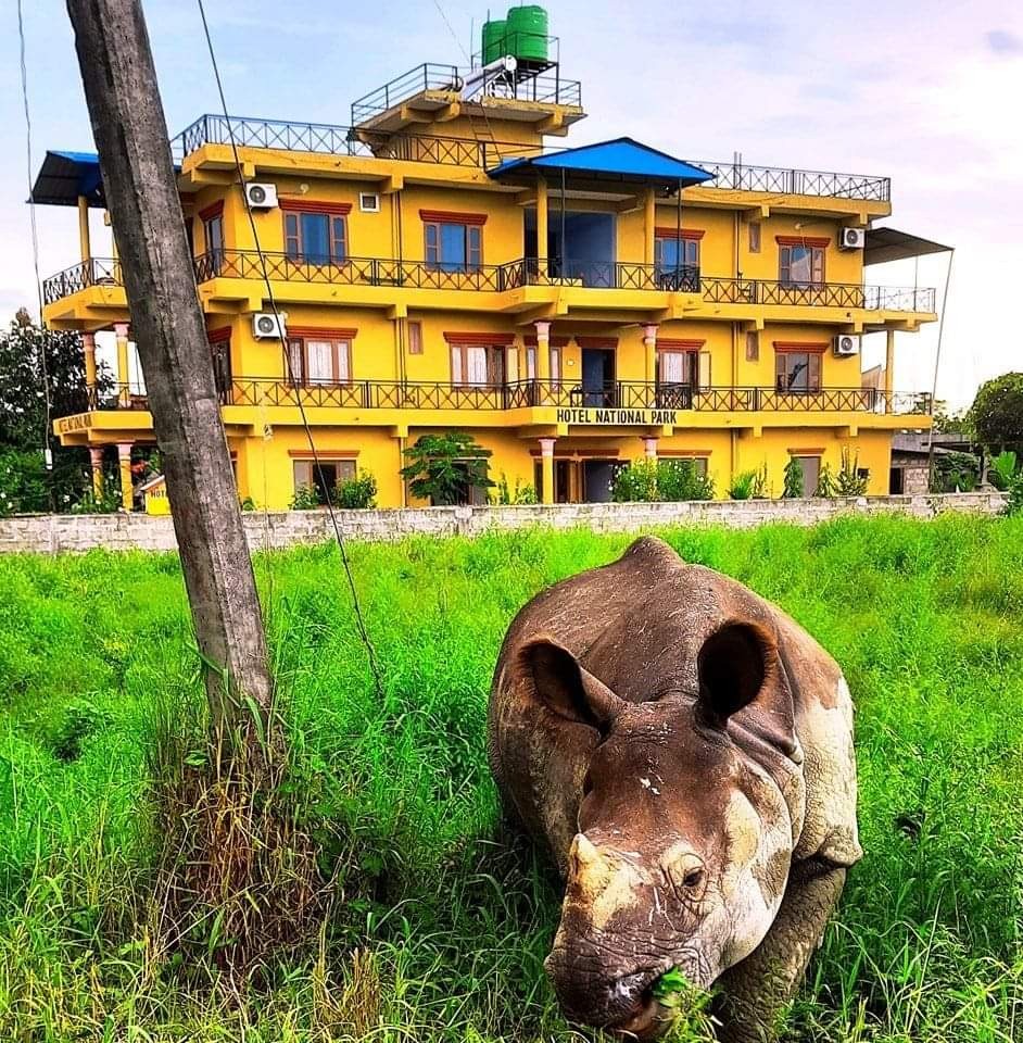 Hotel National Park Sauraha