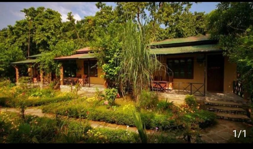 Chitwan Gaida Lodge