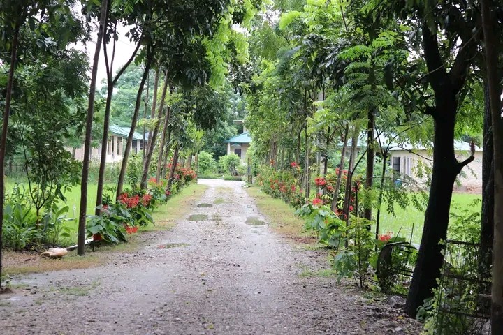 Tharu Mahal