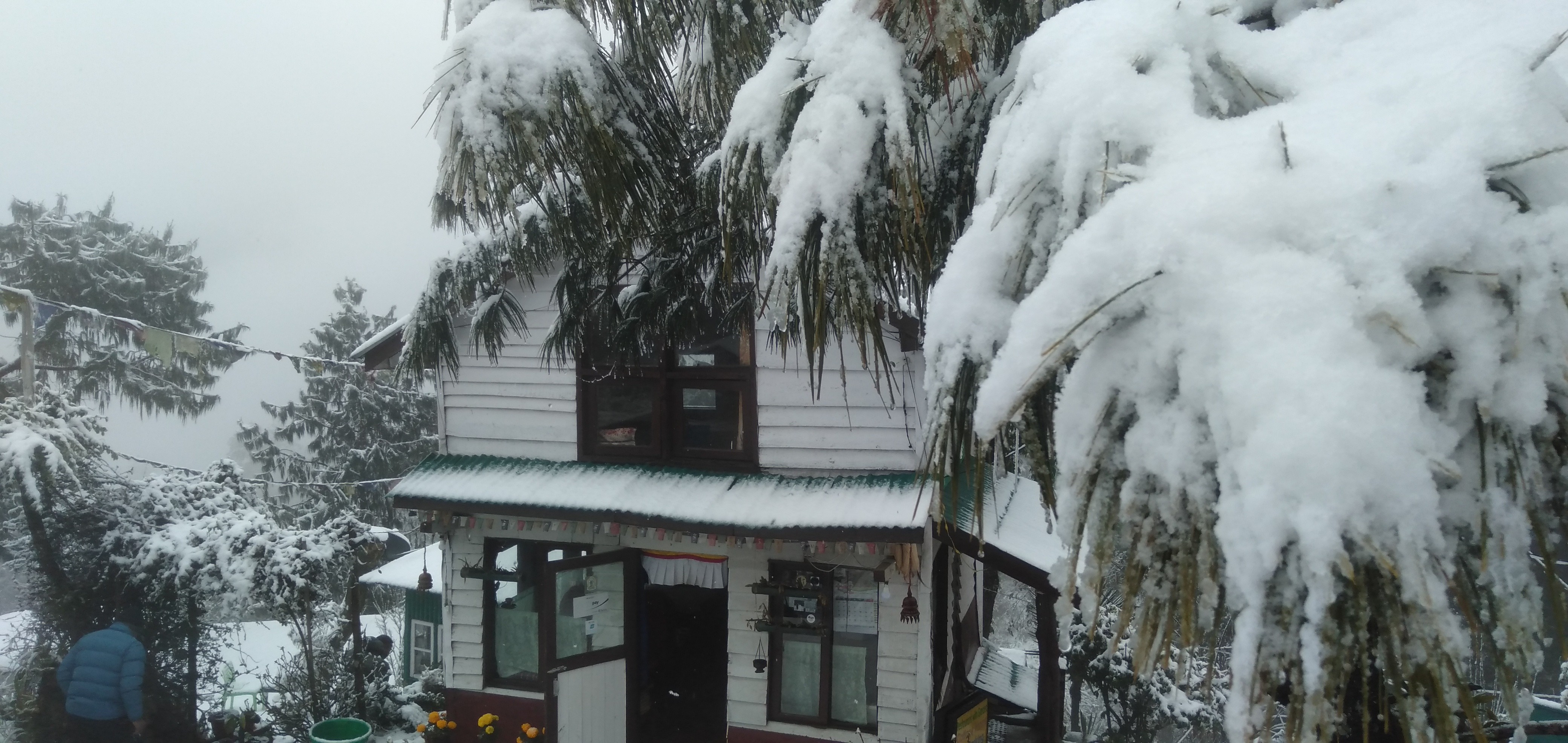 Sherpa Alpine Cottage