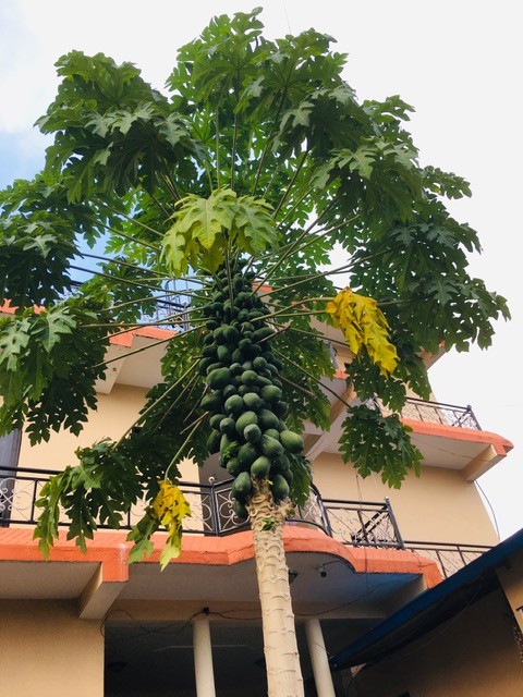 Hotel BhupuSainik