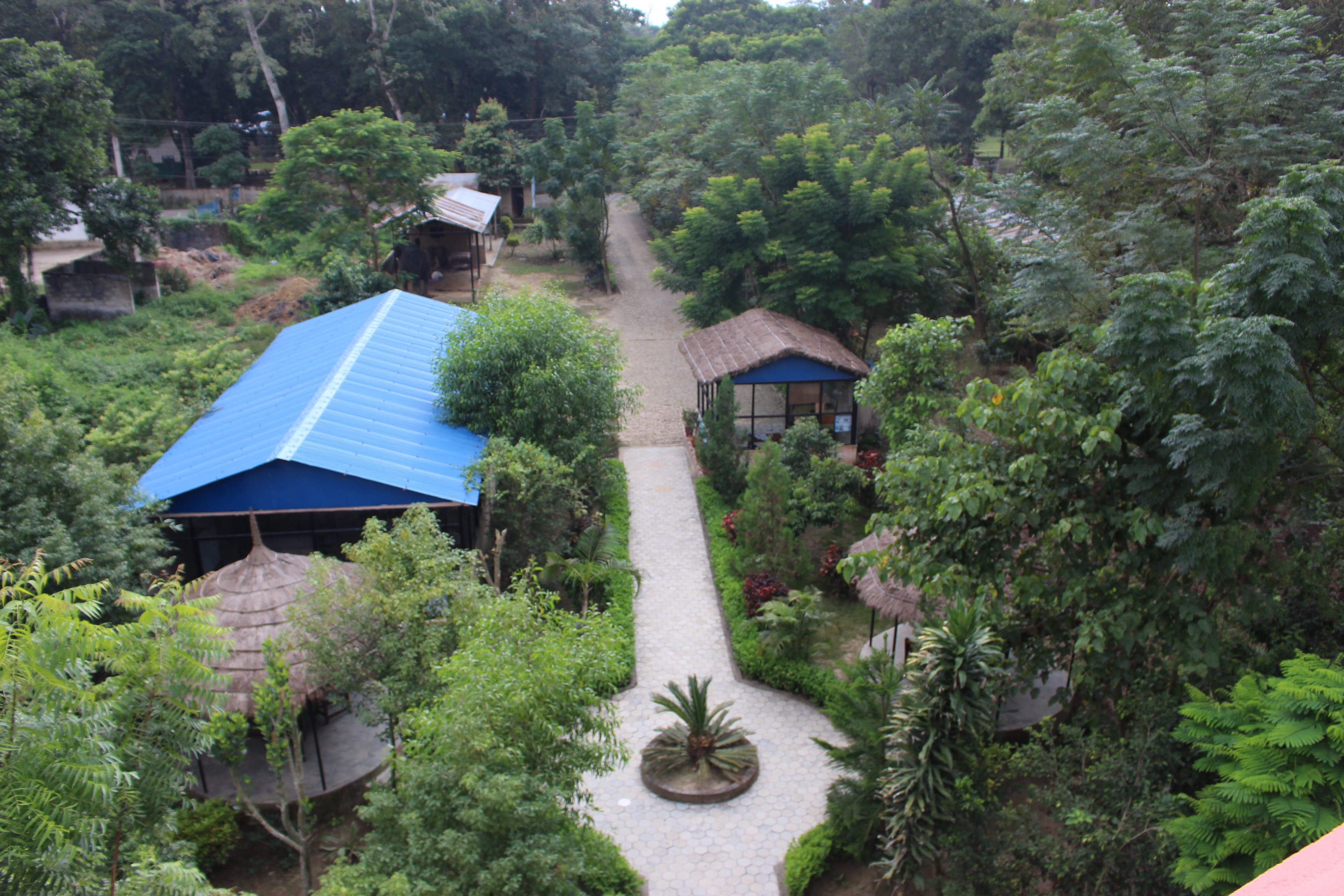 Eco Adventure Resort