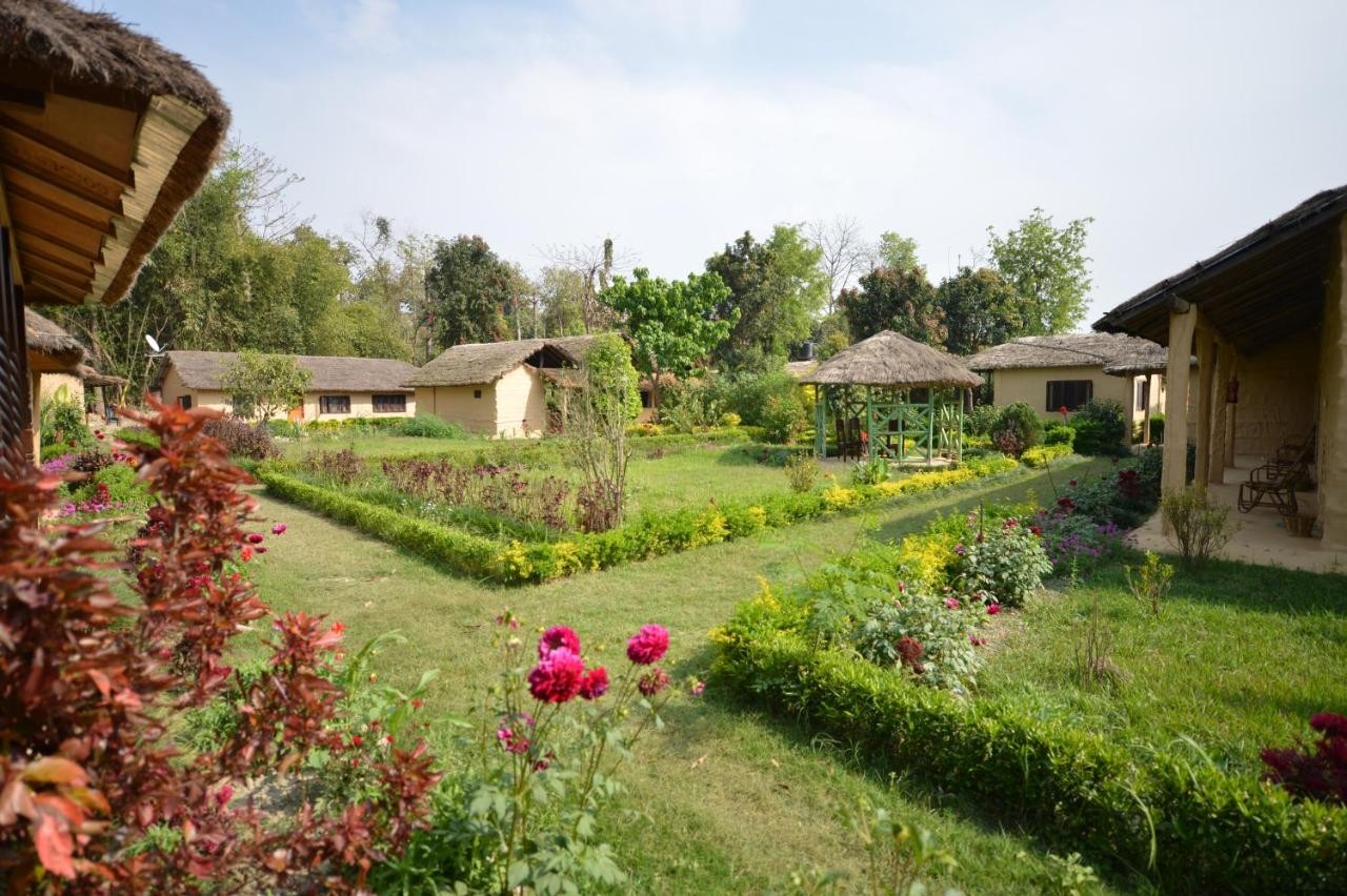 Racy Shade Resort
