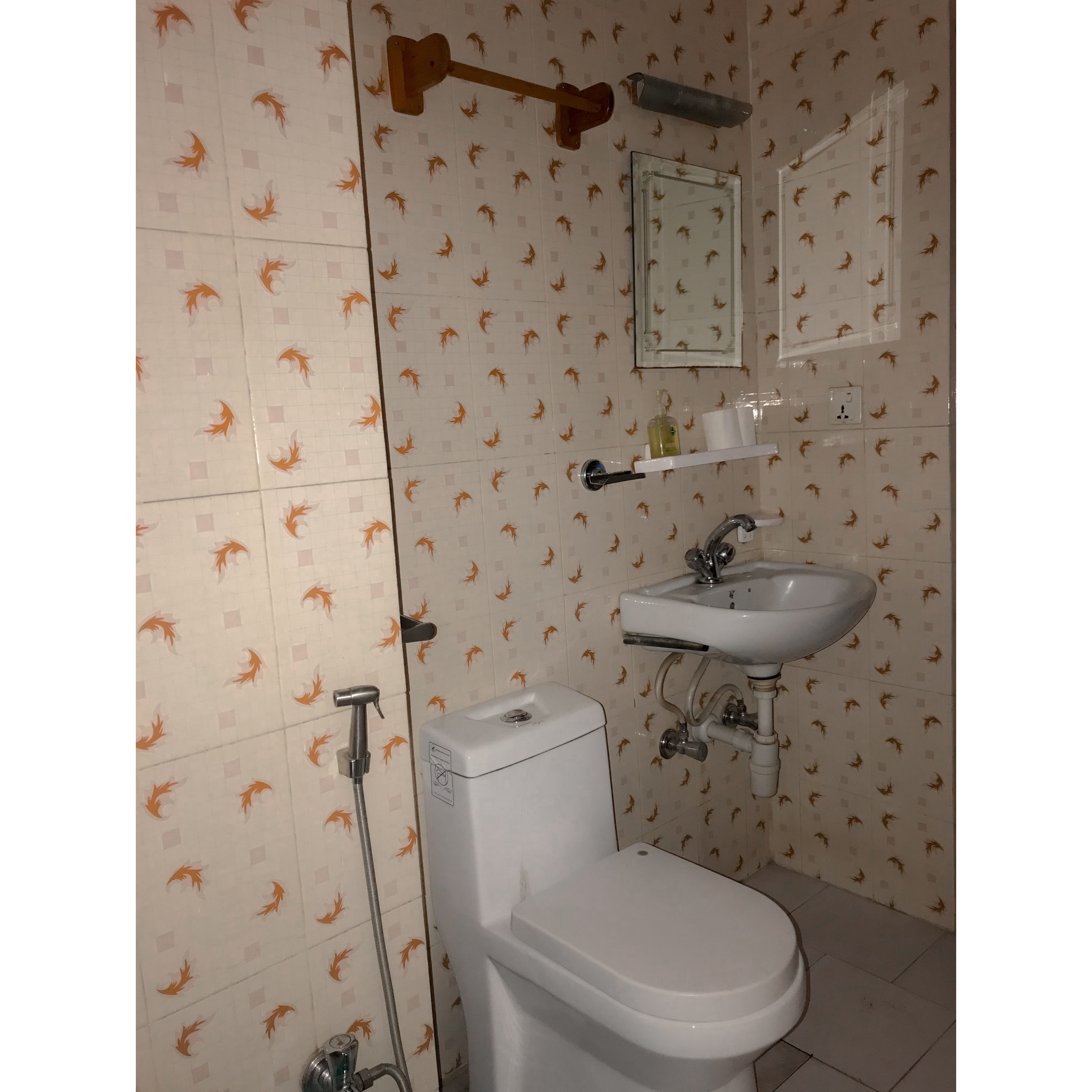 Shiva Guest House 2