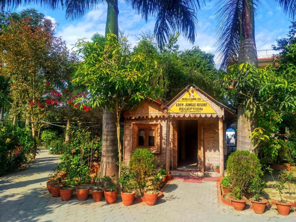 Eden Jungle Resort