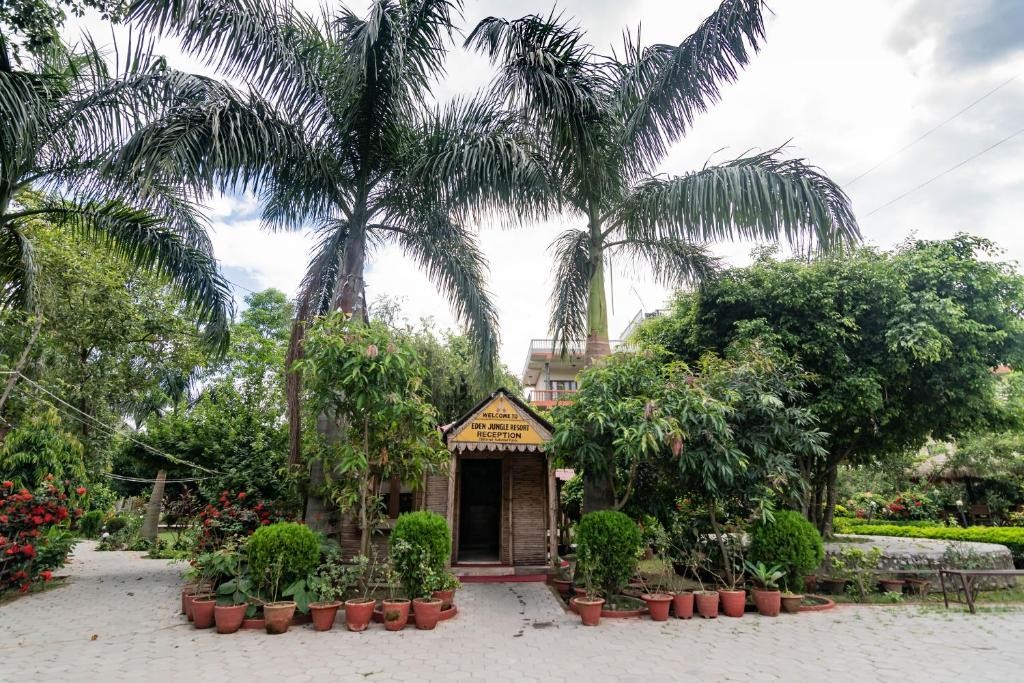 Eden Jungle Resort