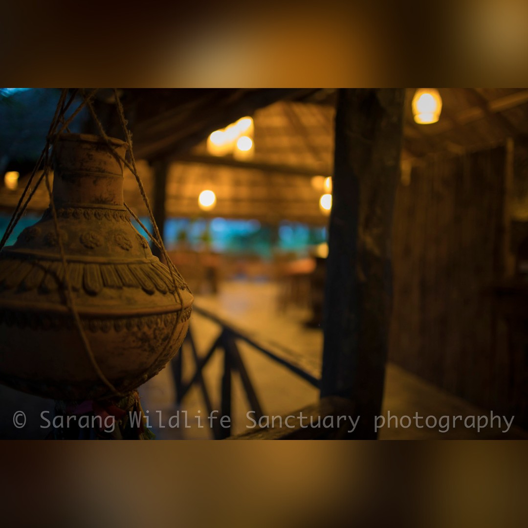 Sarang Wildlife Sanctuary