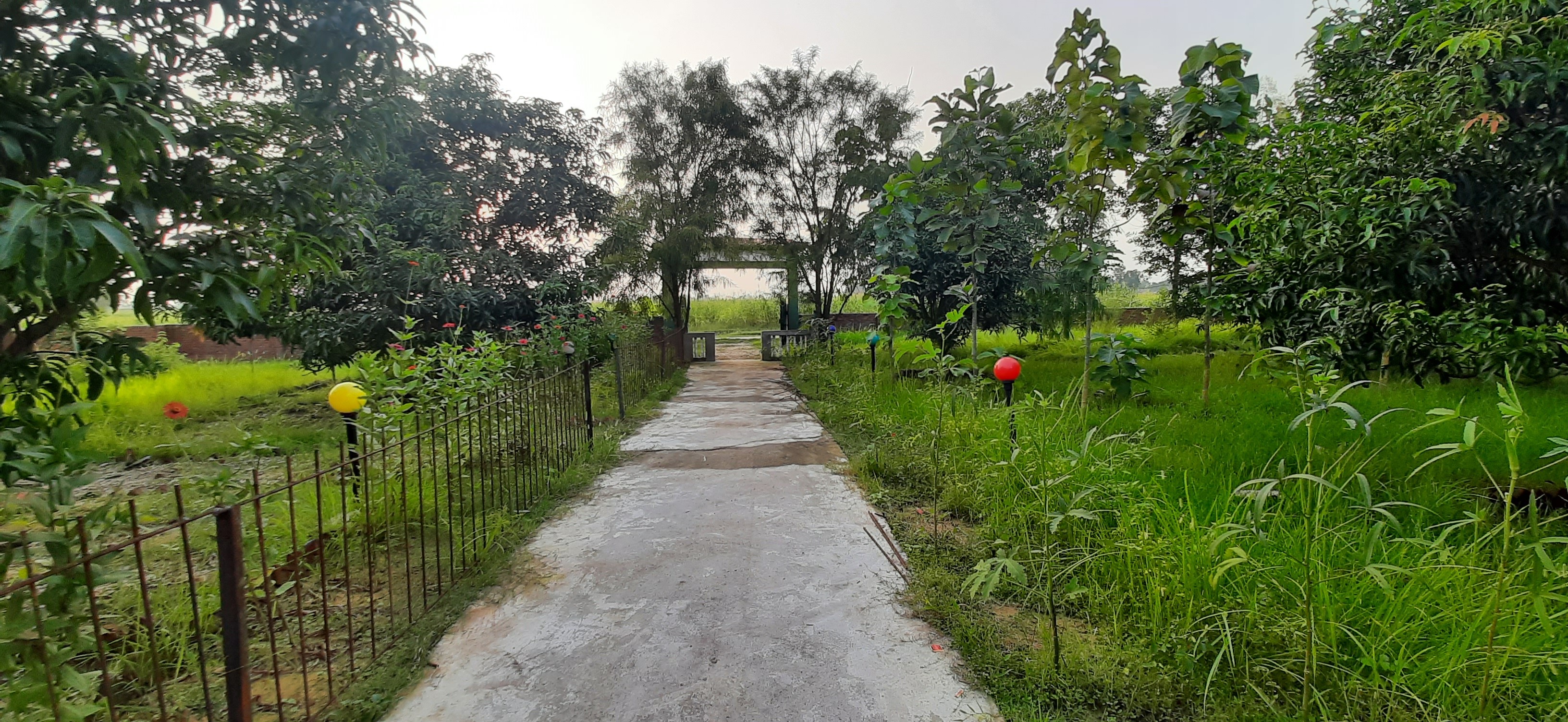 Tharu Mango Garden Resort