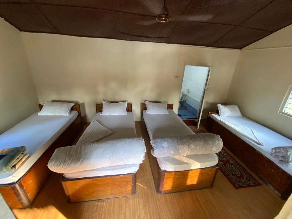 Nature Safari Camp