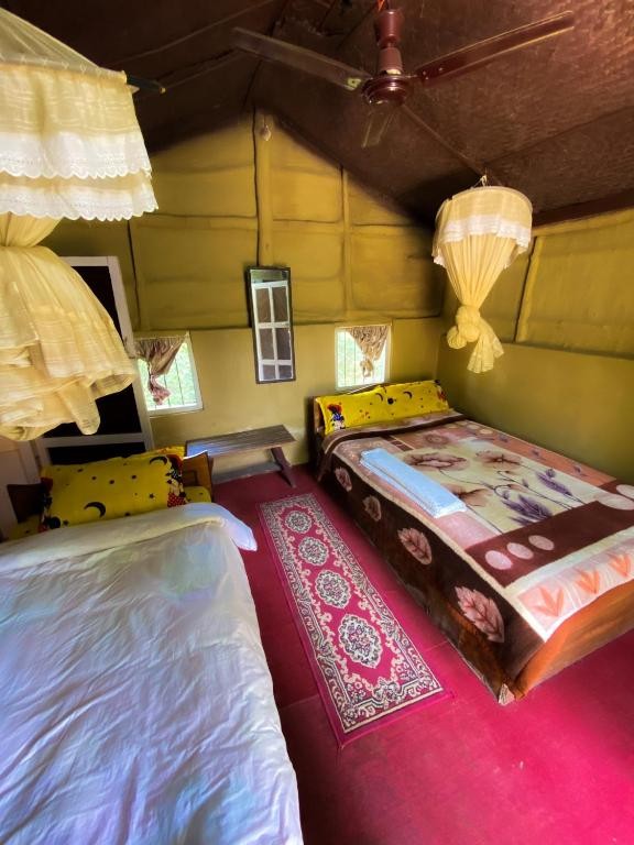 Nature Safari Camp