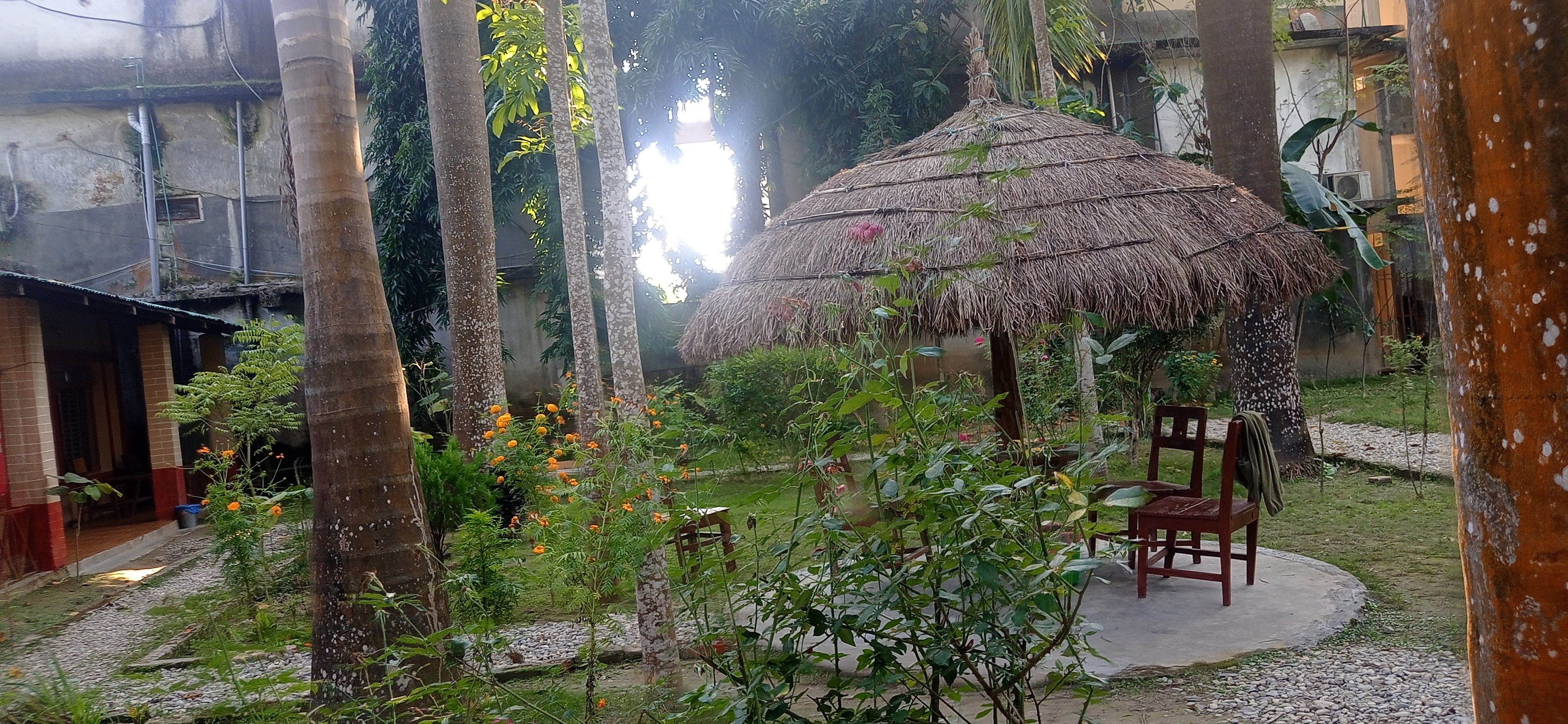 Hotel Tree land lodge