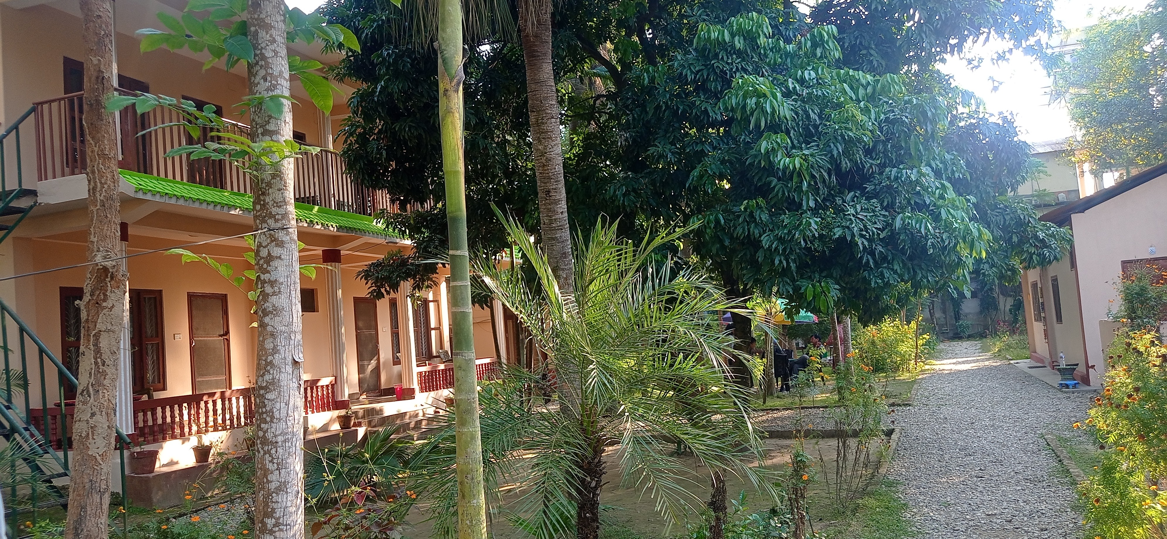 Hotel Tree land lodge