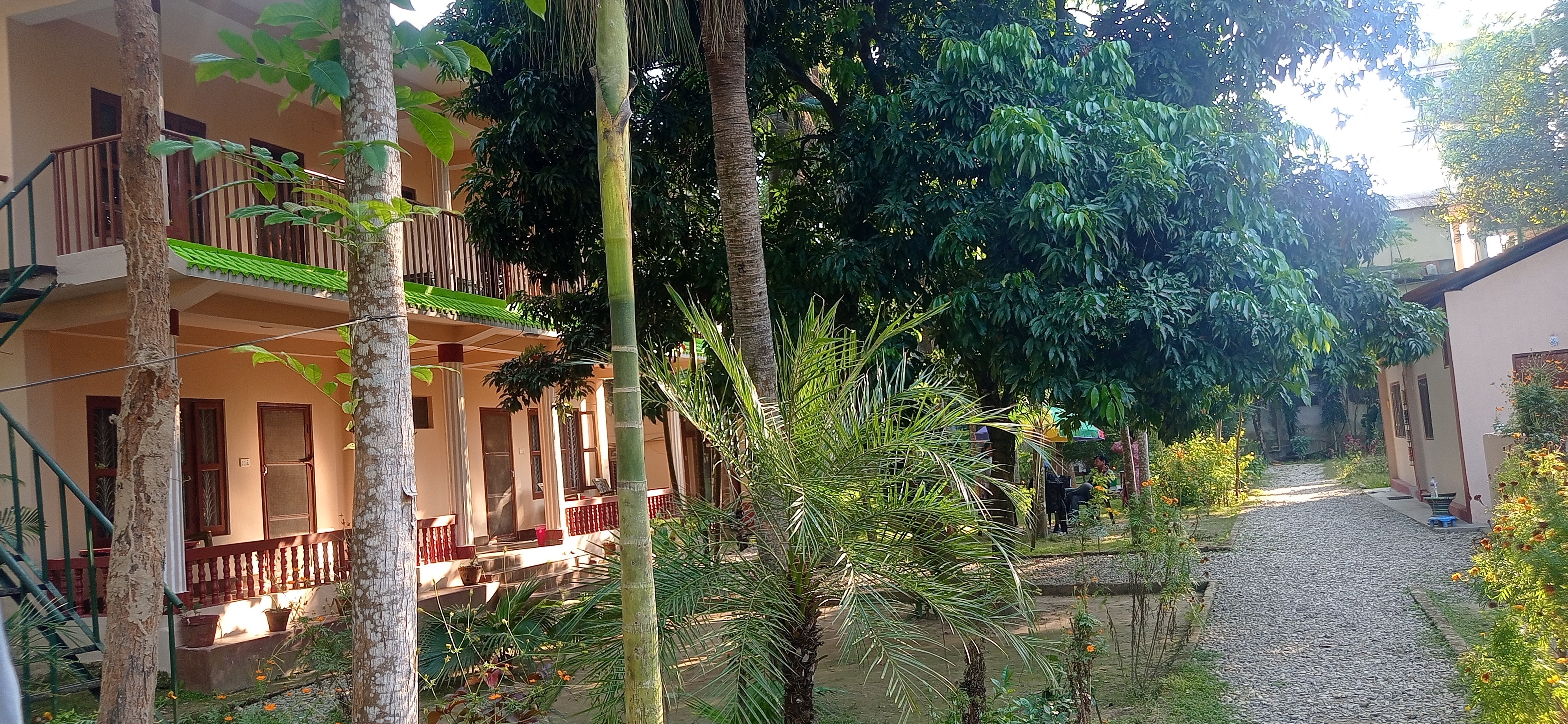 Hotel Tree land lodge