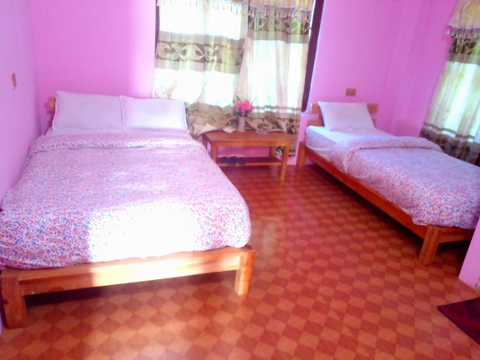 Golden Jungle Hotel And Lodge