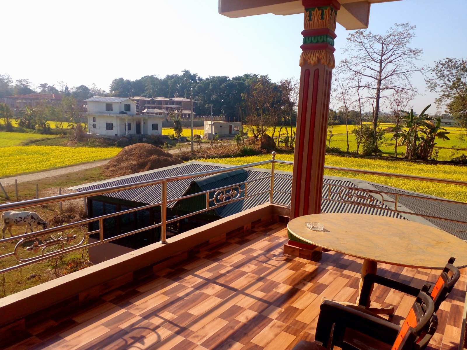 Golden Jungle Hotel And Lodge