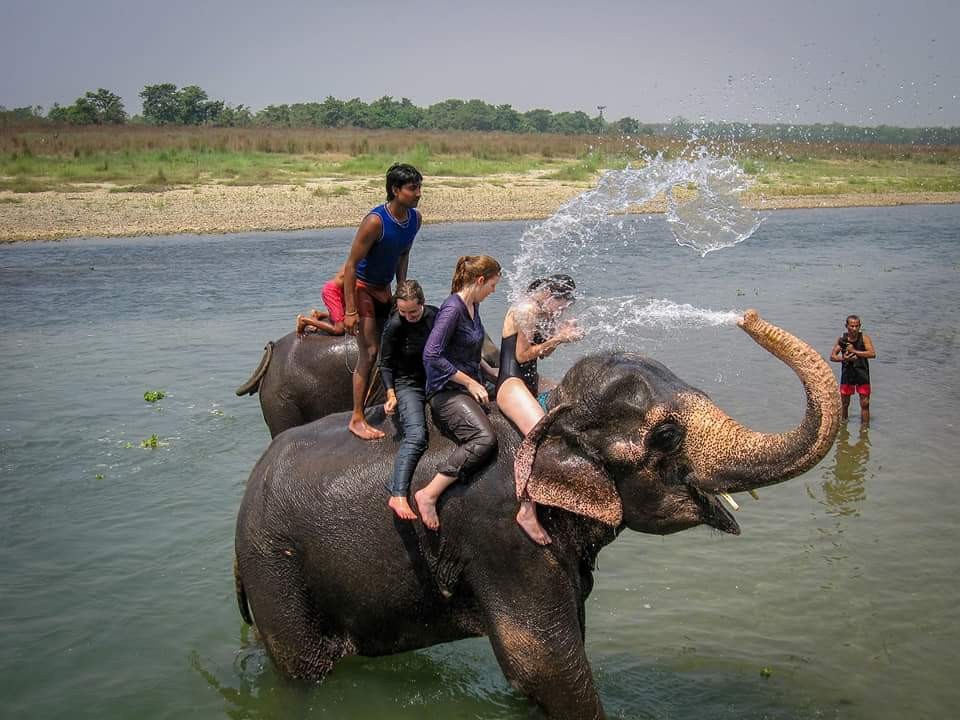 Hotel Royal Safari