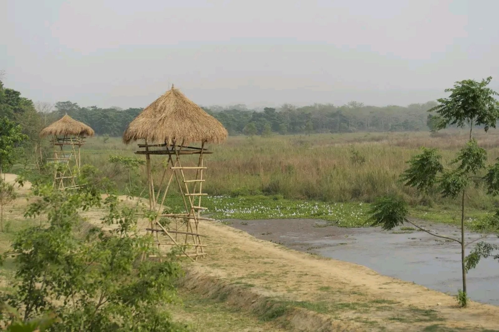 Tigerland Safari Resort
