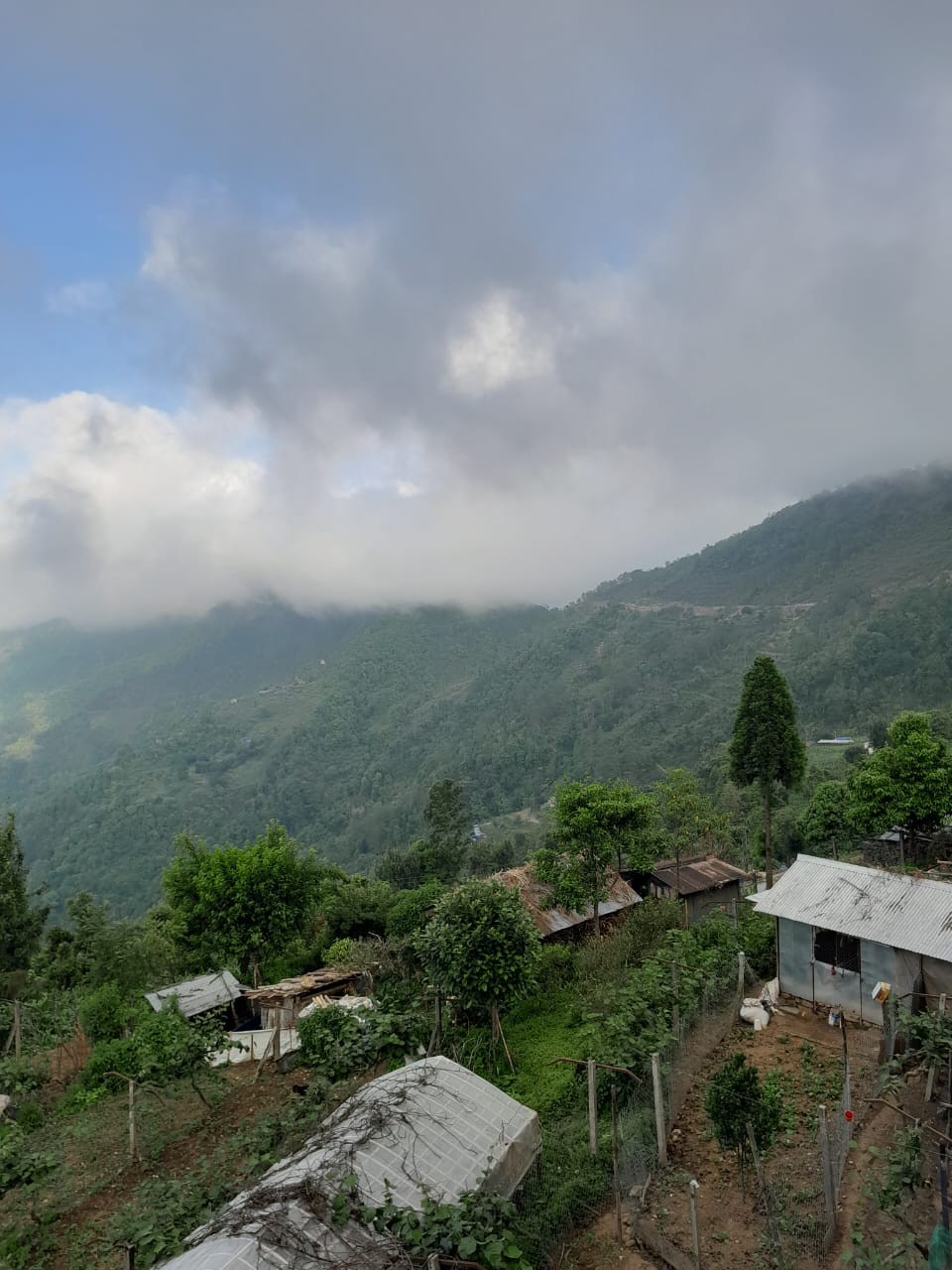 Gayetry Hotel & Lodge