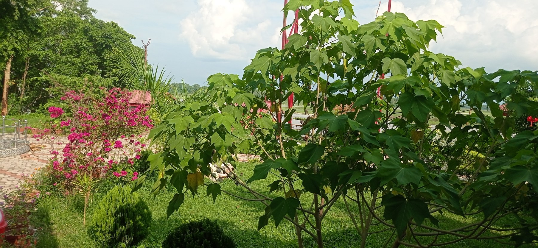 Hotel Kalabanzar and Garden Resort pvt.ltd