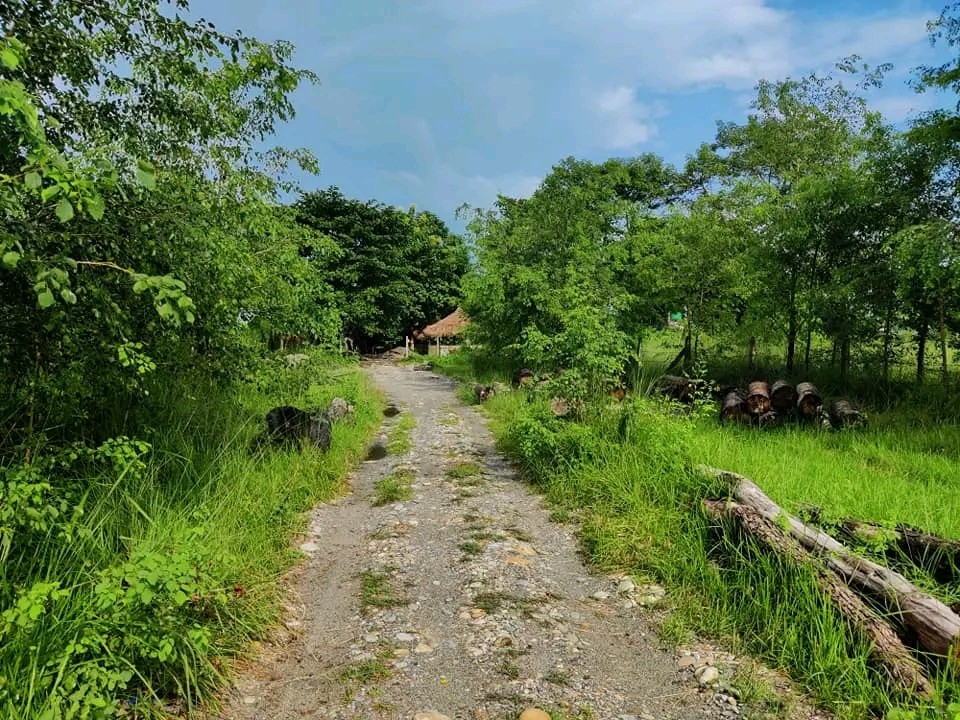 Narayani River View Resort