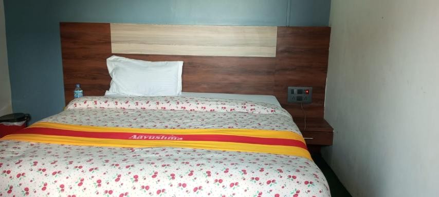 Hotel Aayushma And Party Palace Pvt. Ltd