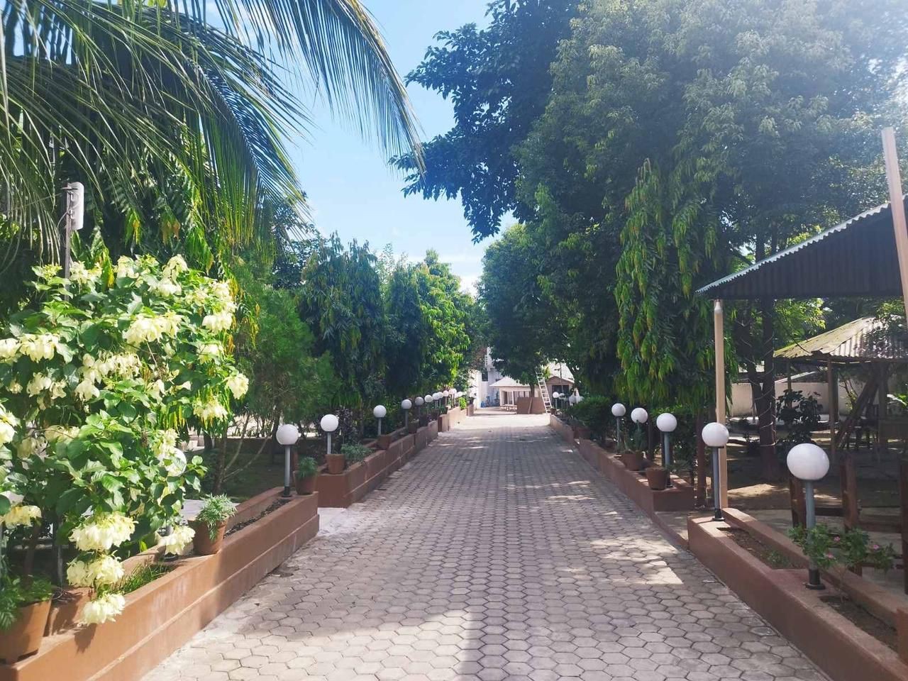 Hotel Jungle Lunar Pvt Ltd