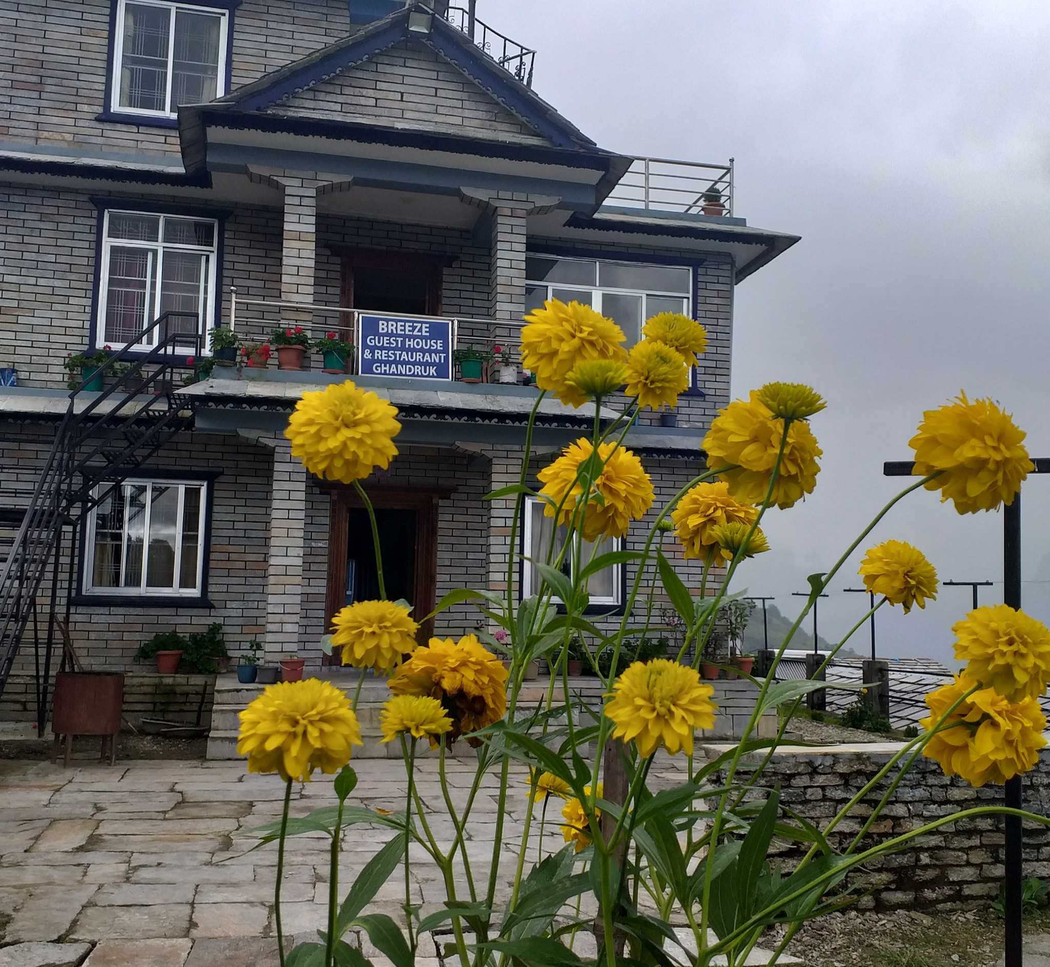 Breeze Guest House
