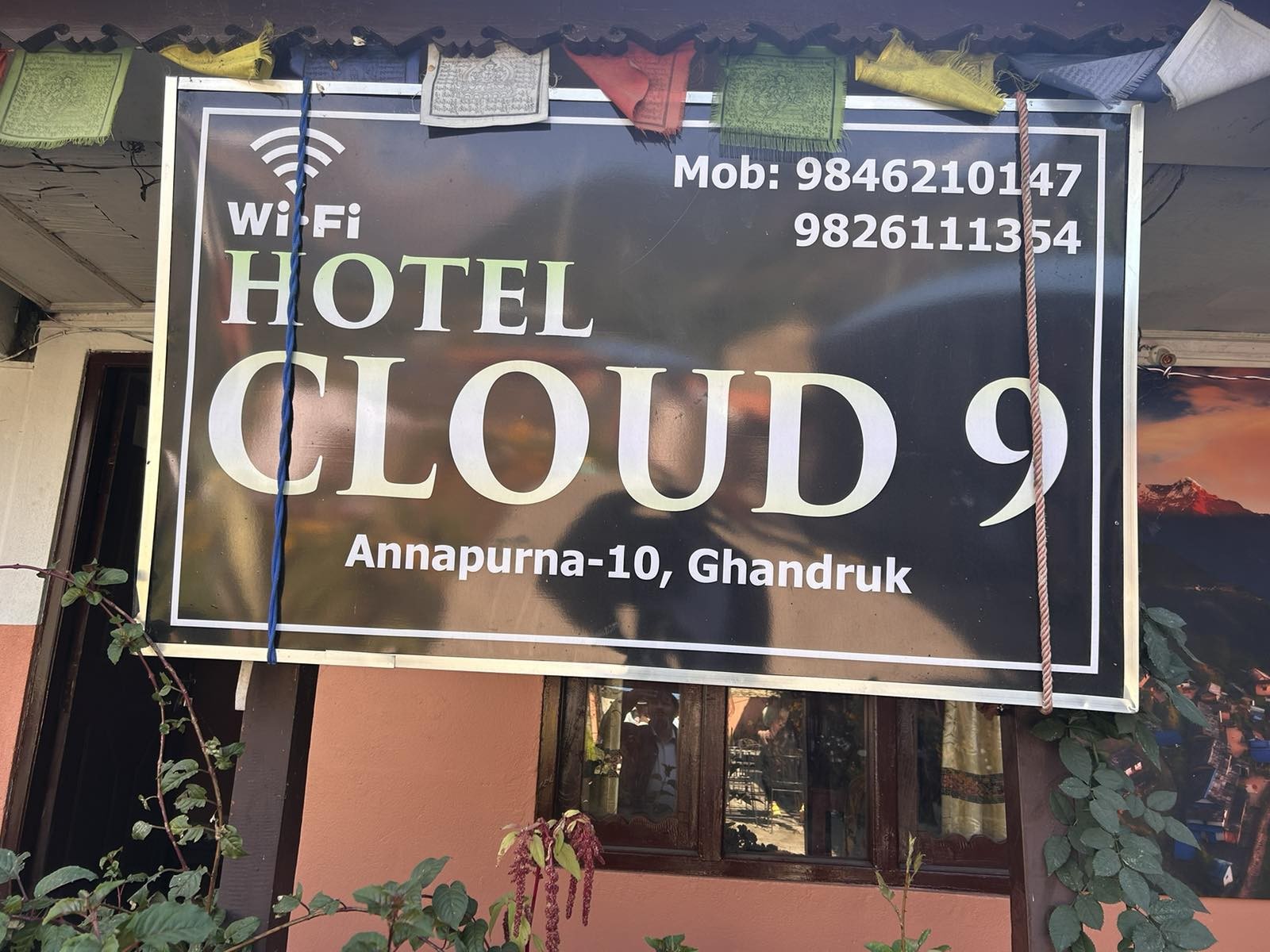 Cloud Nine Home Stay