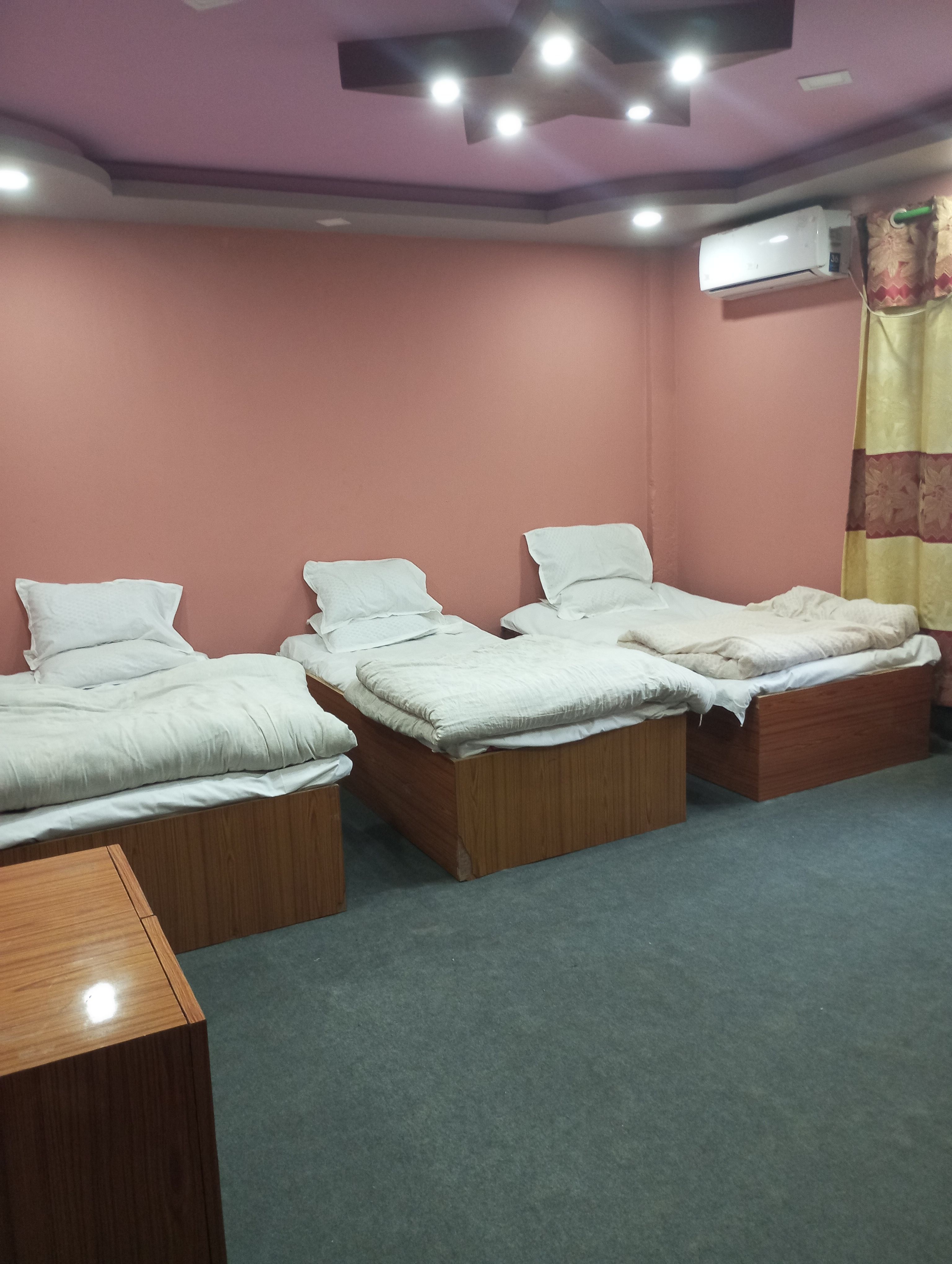 PREM LATA HOTEL AND PALACE PVT LTD