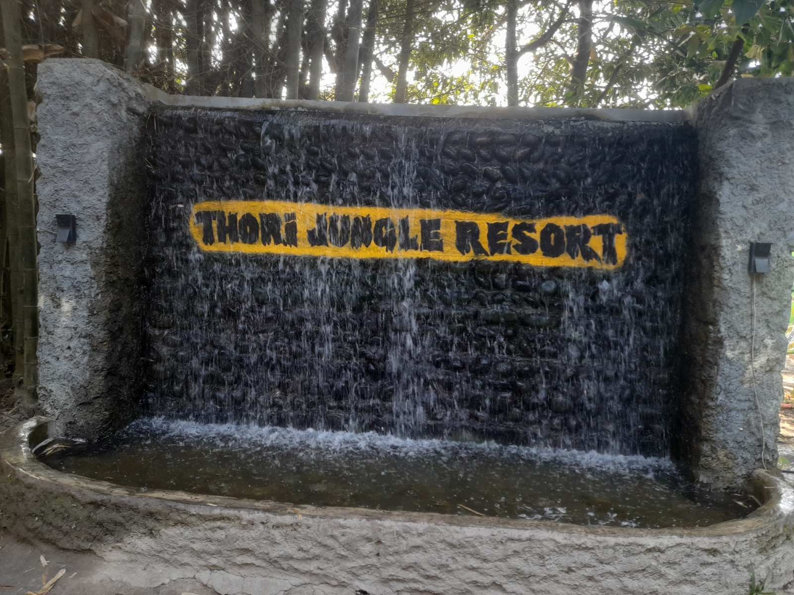 Thori Jungle Resort Pvt Ltd