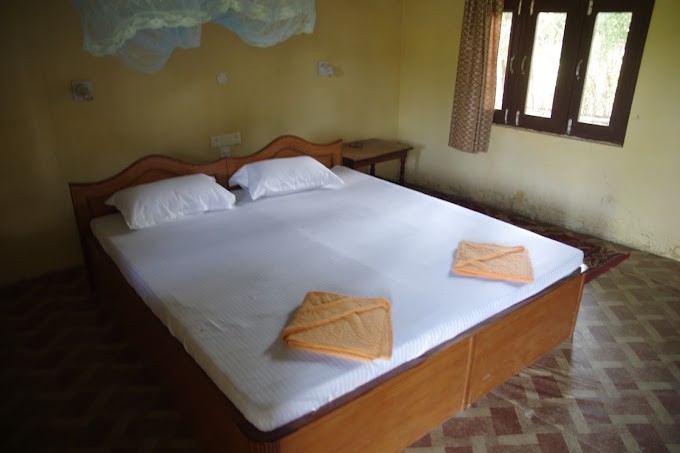 Jungle Base Camp Resort