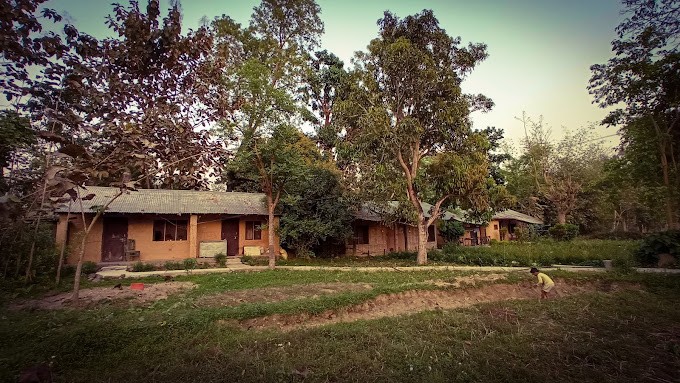 Jungle Base Camp Resort