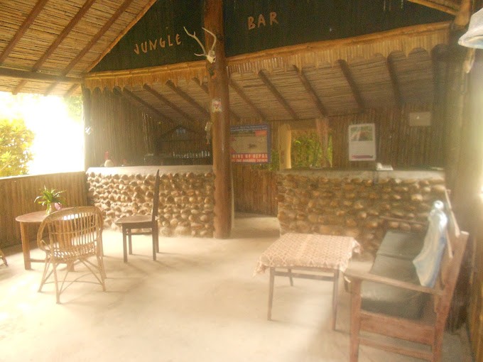 Jungle Base Camp Resort