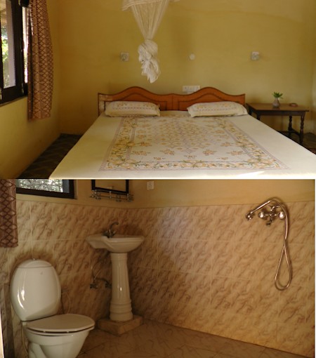 Jungle Base Camp Resort|Single Room