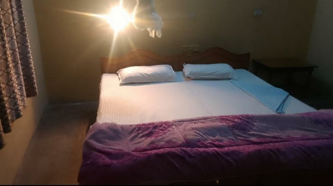 Jungle Base Camp Resort|Single Room