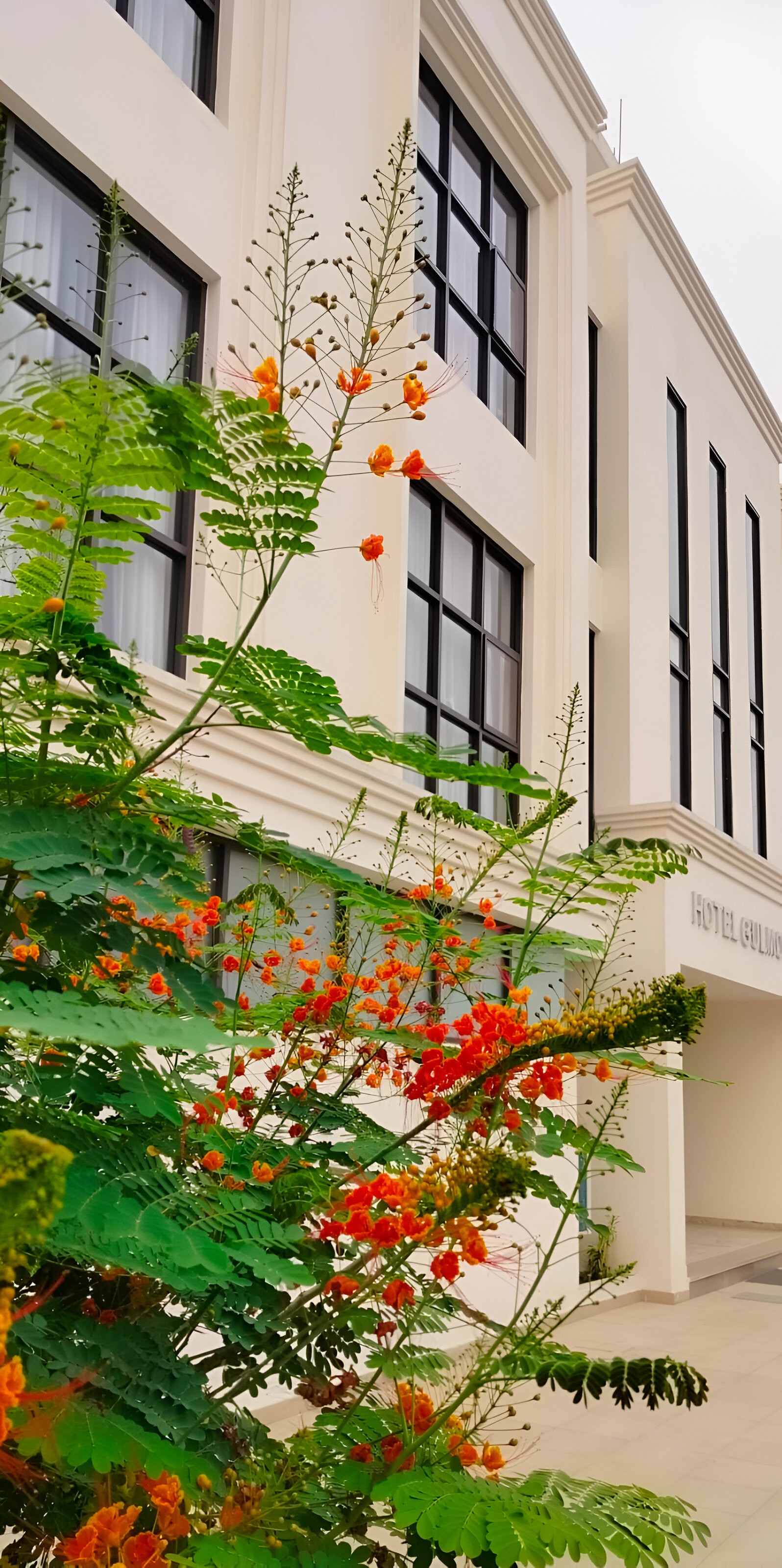 Hotel Gulmohar