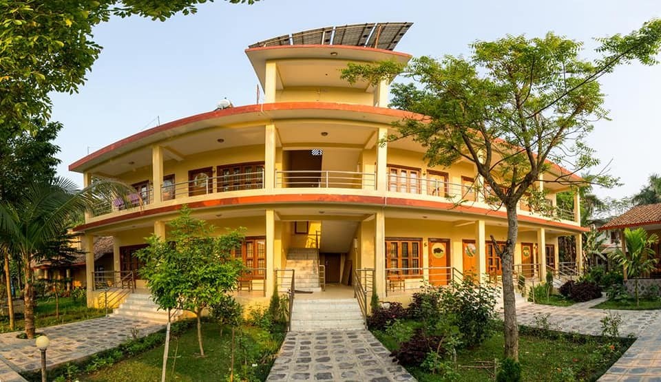 Jungle Resort