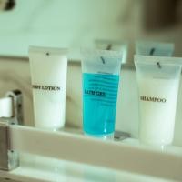 Hotel Black Diamond - Transit point inside airport|Deluxe Twin Room