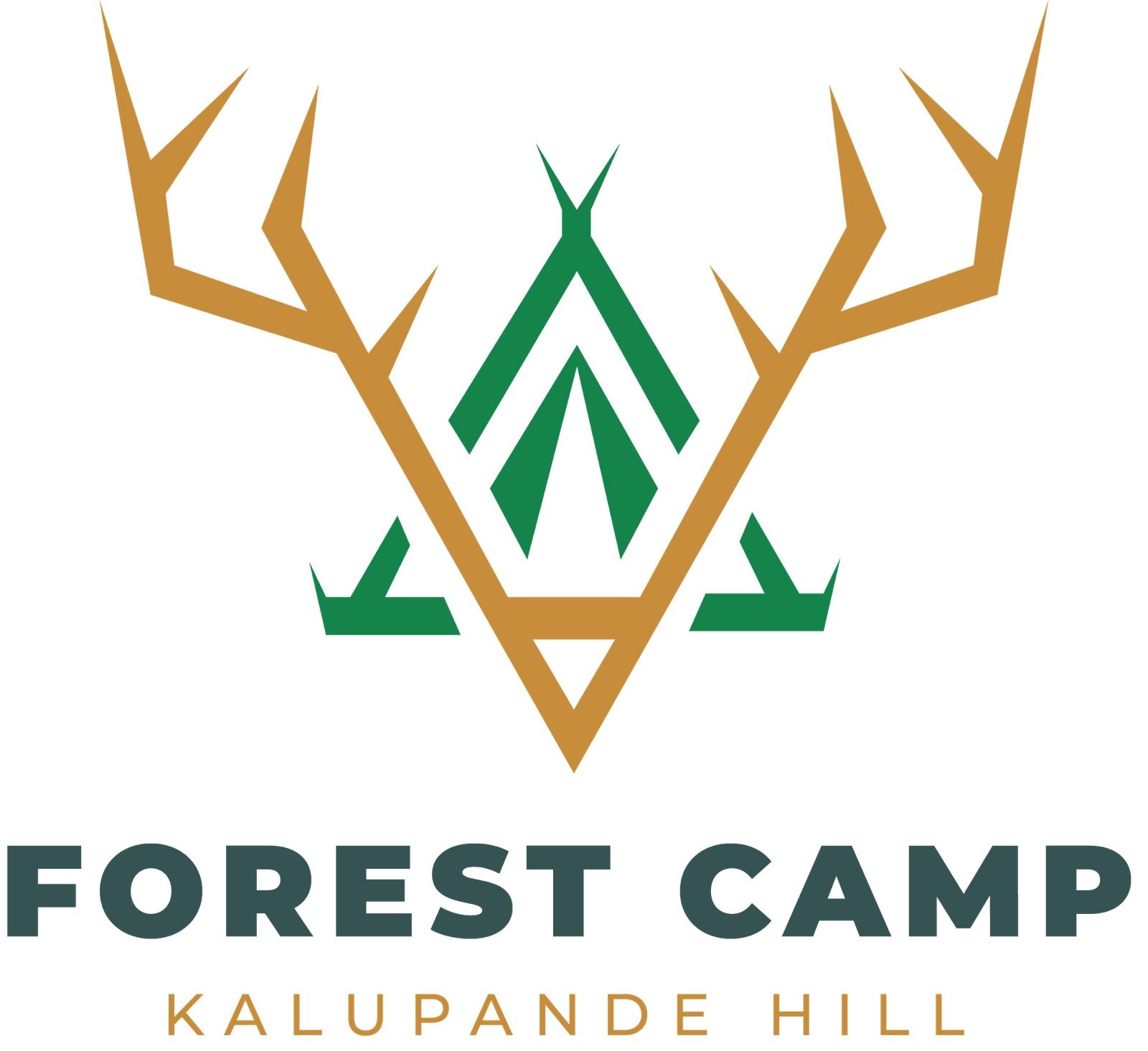 Forest Camp