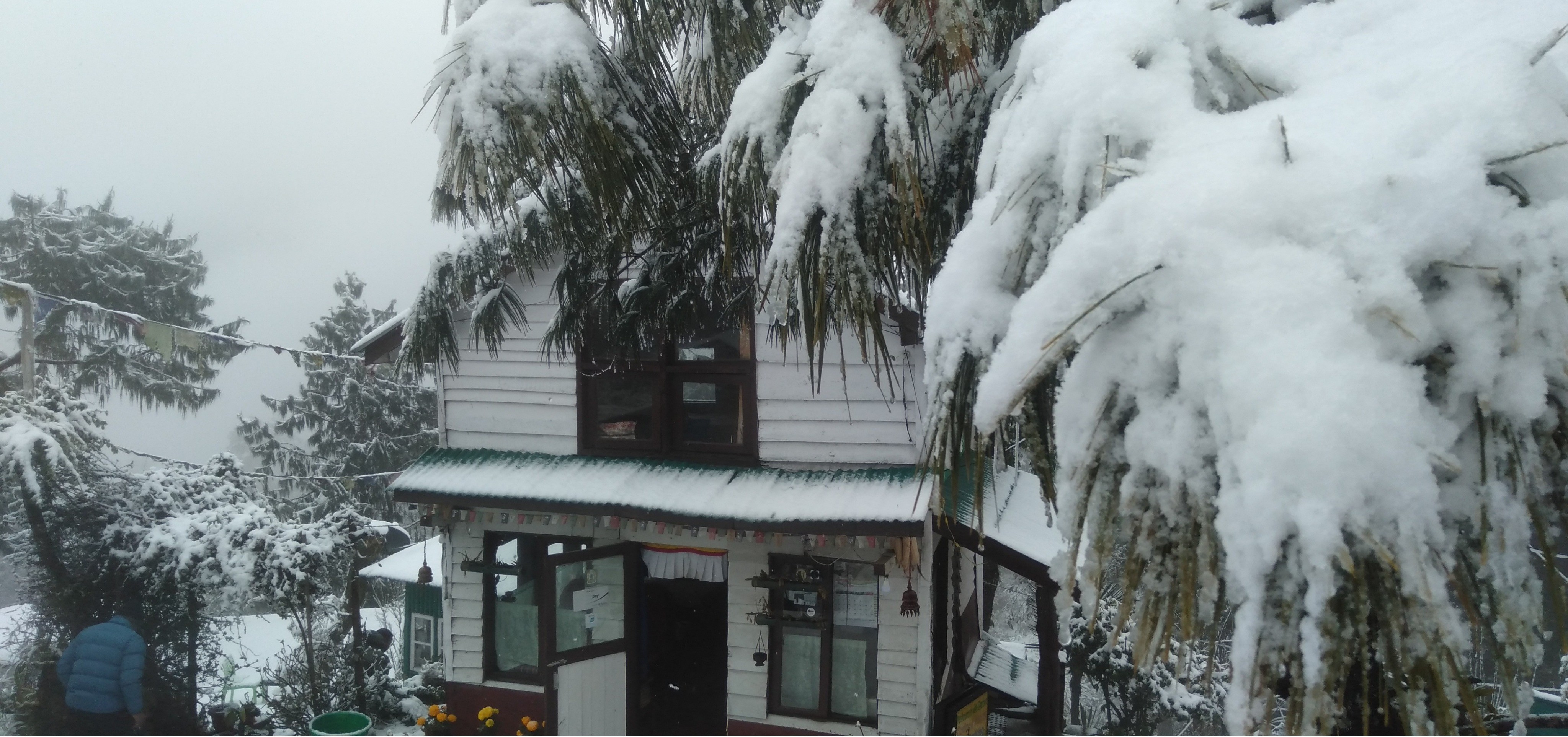 Sherpa Alpine Cottage