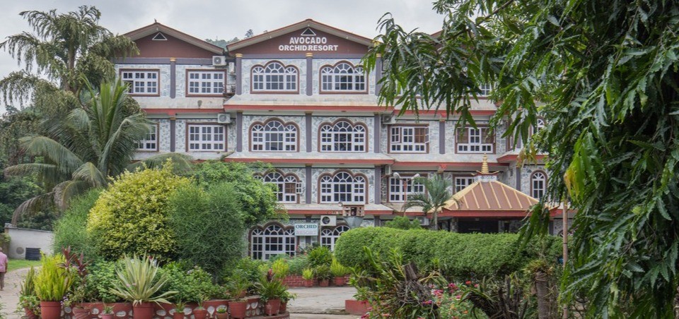 Avocado & Orchid Resort