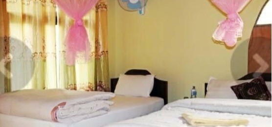 Nature Safari Lodge and Resort