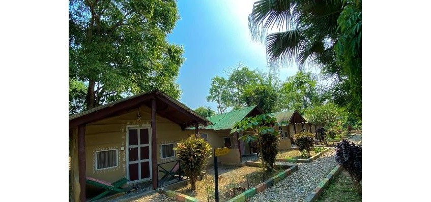 Nature Safari Camp