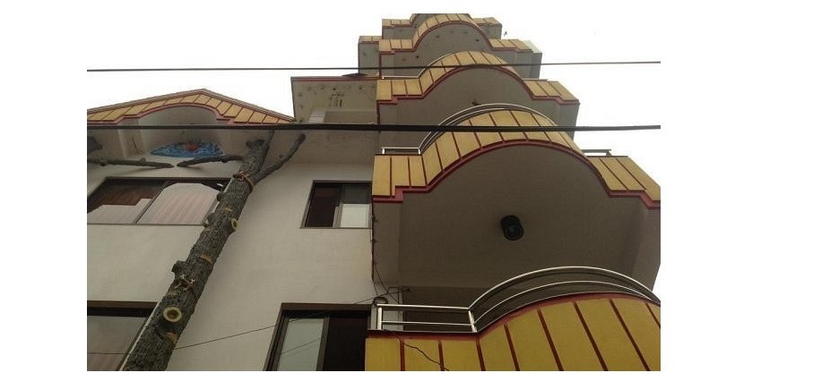Hotel Tree House