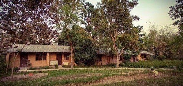 Jungle Base Camp Resort