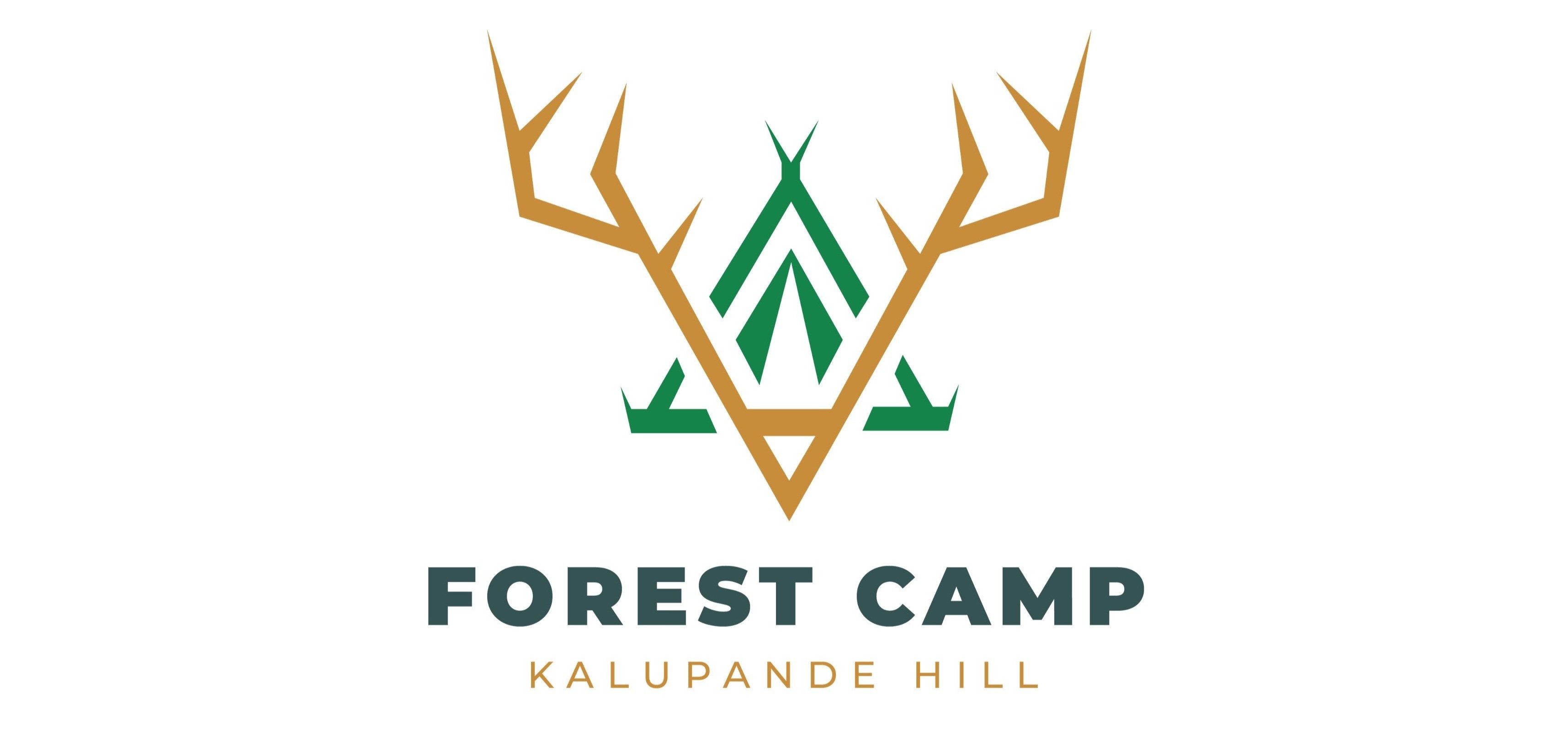Forest Camp