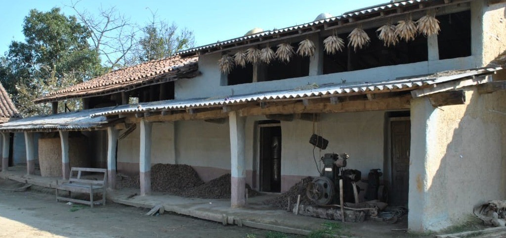 Tharu Homestay (House 11)